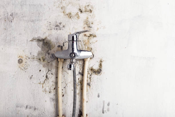 Best Post-Flood Mold Remediation in Strum, WI