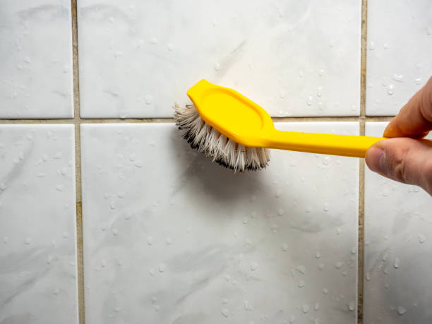 Best Preventive Mold Services in Strum, WI