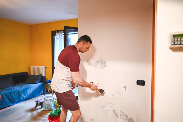 Best Localized Mold Remediation (e.g., coastal areas, humid climates) in Strum, WI